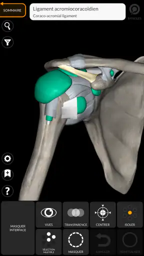 Anatomie - Atlas 3D screenshot