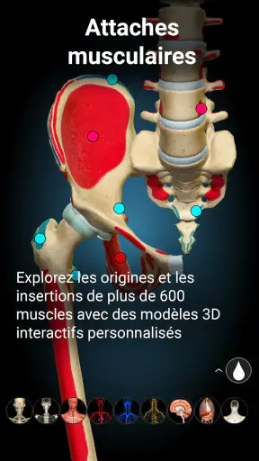 Anatomy Learning - Anatomie 3D screenshot