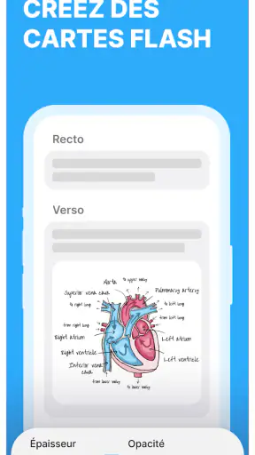 Anki Pro: Fiche de Revision screenshot