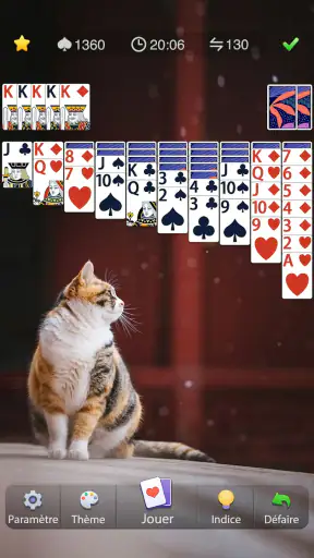 Araignée Solitaire screenshot
