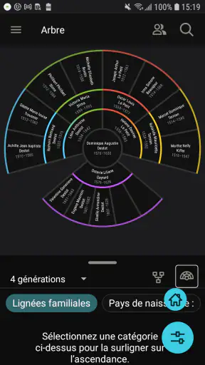 Arbre Familial de FamilySearch screenshot
