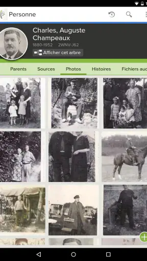 Arbre Familial de FamilySearch screenshot
