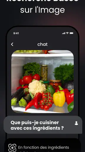 Ask AI - Chatbot IA français screenshot