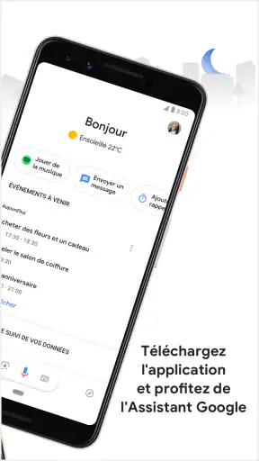 Assistant Google screenshot