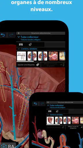 Atlas d'anatomie humaine 2025 screenshot