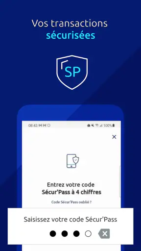 Banque Populaire PRO screenshot