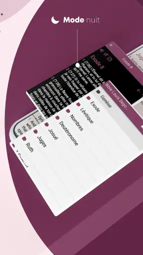 Bible Louis Segond avec audio screenshot