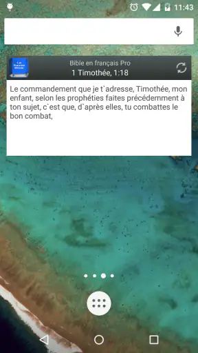 Bible Louis Segond PRO screenshot