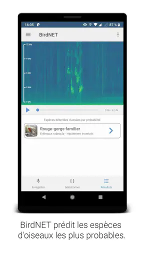 BirdNET screenshot