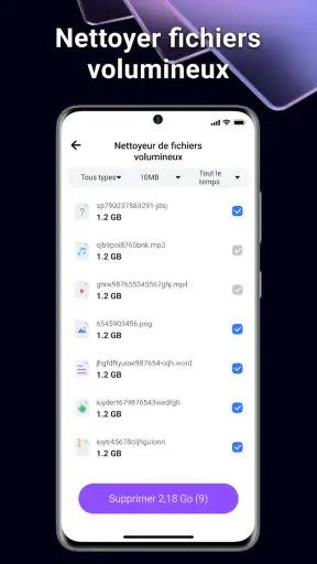 BlazeClean screenshot