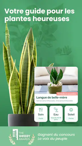 Blossom - Reconnaissez plantes screenshot