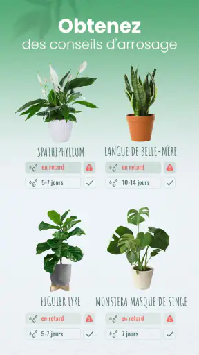 Blossom - Reconnaissez plantes screenshot