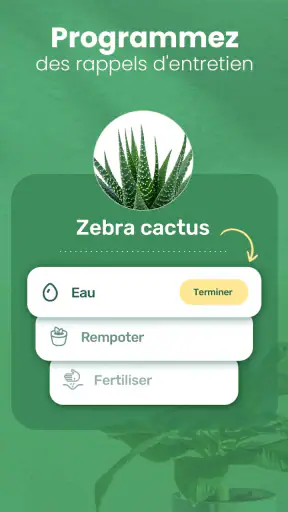 Blossom - Reconnaissez plantes screenshot