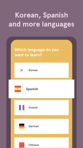 Bunpo: Learn Japanese screenshot