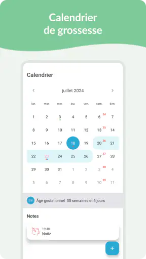Calendrier de Grossesse screenshot