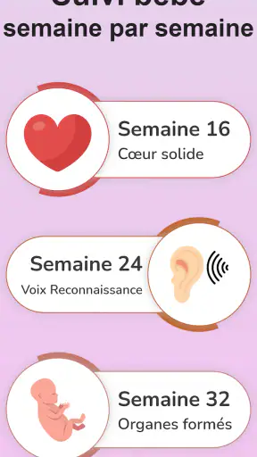 Calendrier Grossesse Suivi screenshot