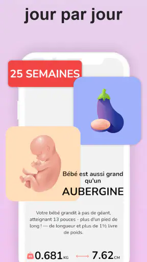 Calendrier Grossesse Suivi screenshot