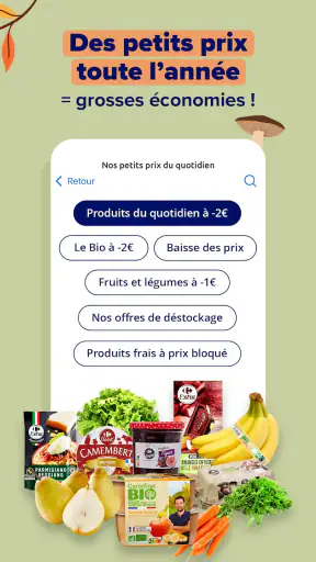 Carrefour France screenshot
