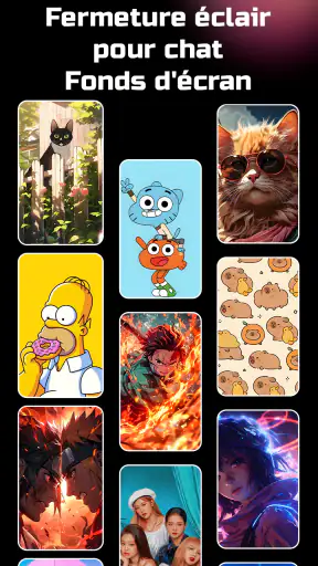 Casier à Fermeture Éclair App screenshot