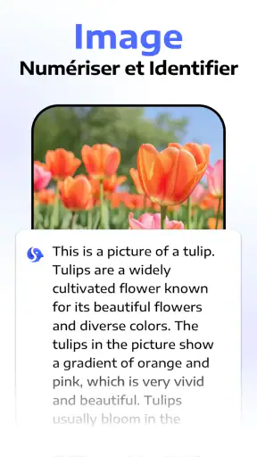 Chatbot Assistant - AI Seek screenshot