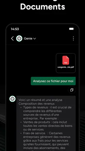 Chatbot IA Français - Genie AI screenshot