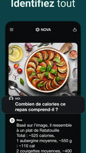 Chatbot IA français - Nova screenshot