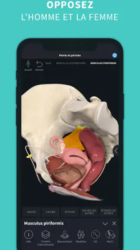 Complete Anatomy screenshot