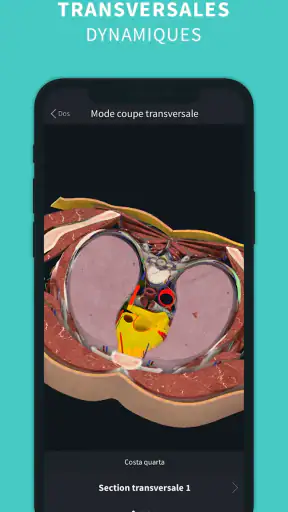 Complete Anatomy screenshot