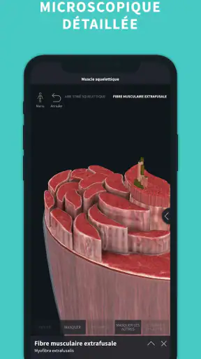 Complete Anatomy screenshot