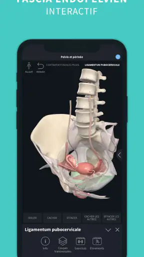 Complete Anatomy screenshot