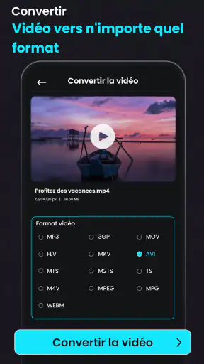 Compresser des Vidéos, mov mp4 screenshot