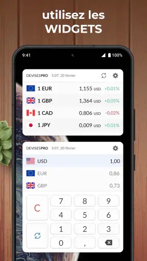Convertisseur de Devises Plus screenshot