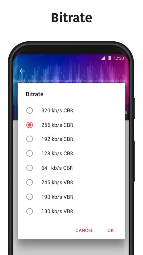 Convertisseur MP3 - MP4 to MP3 screenshot