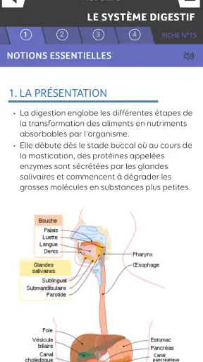 DEAS fiches/QCM Aide-soignant screenshot