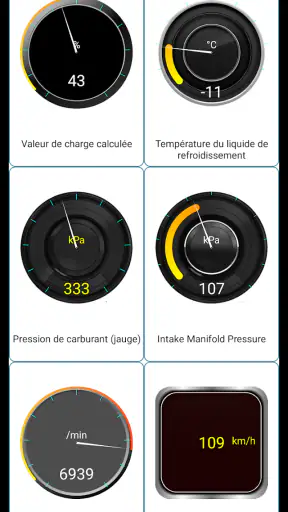 Diagnostic Tor OBD2 screenshot