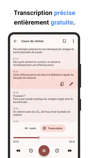 Dictaphone screenshot