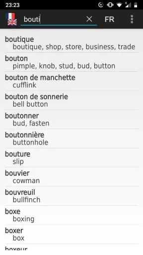 Dictionnaire Anglais-Français  screenshot