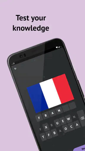 Drapeaux des pays du monde screenshot