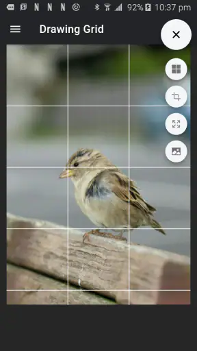 Drawing Grid screenshot