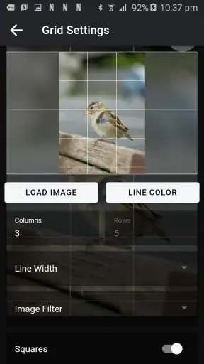 Drawing Grid screenshot