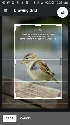 Drawing Grid screenshot