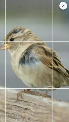 Drawing Grid screenshot