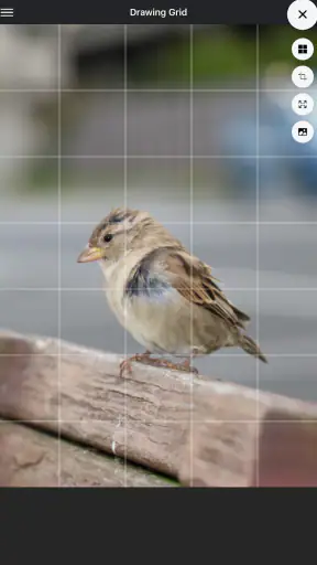 Drawing Grid screenshot