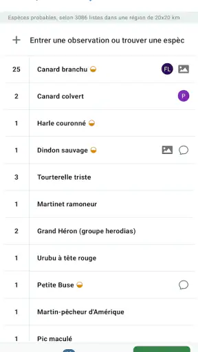 eBird by Cornell Lab screenshot