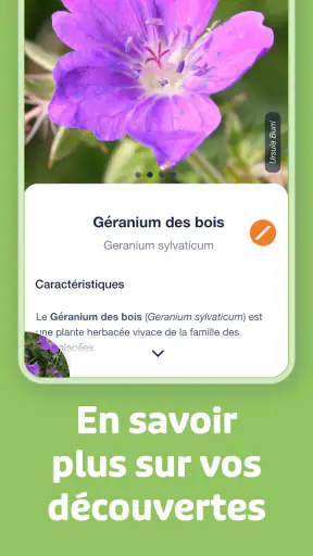 Flora Incognita screenshot