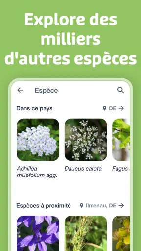 Flora Incognita screenshot