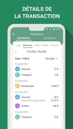 Gestion budget - dépenses screenshot