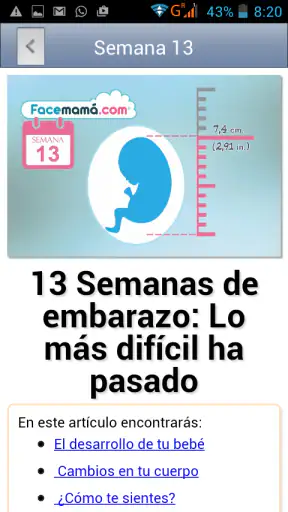 Gestograma - Embarazo Facemamá screenshot