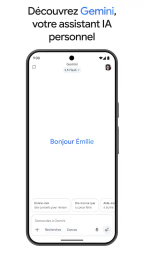 Google Gemini screenshot
