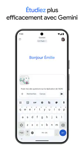 Google Gemini screenshot